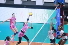 PLN Mobile Proliga 2025: Tim Putri Jakarta Pertamina Enduro Tutup Putaran Satu dengan Kemenangan atas Falcons