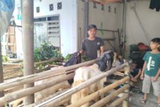 Penjualan Hewan Kurban di Kota Malang (Tagarjatim.id/ Puput Hajarani)