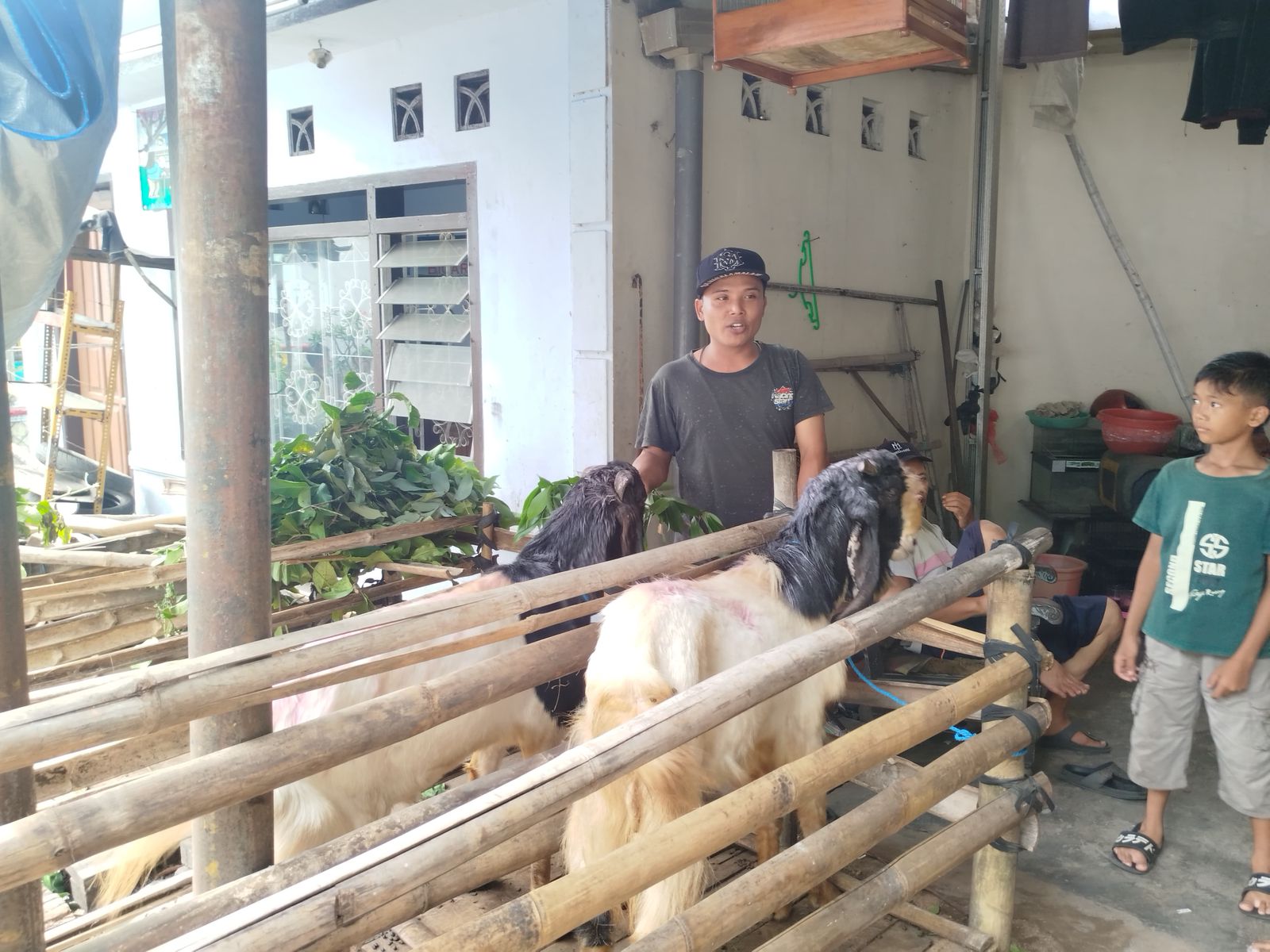 Penjualan Hewan Kurban di Kota Malang (Tagarjatim.id/ Puput Hajarani)