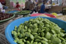 Harga Petai di Kota Malang Tembus Rp125 Ribu, Setara Daging Sapi