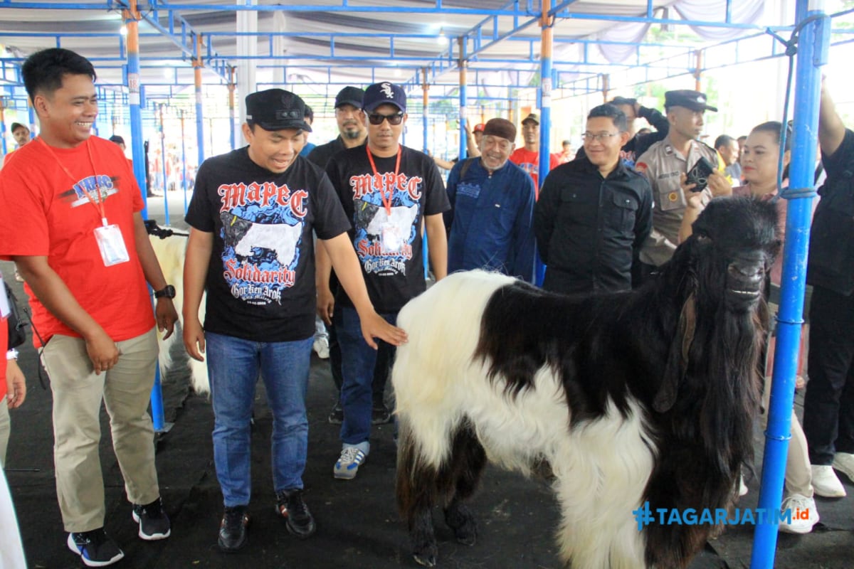 Ratusan Peserta Ramaikan Kontes Kambing Mapec Solidarity di Kota Malang